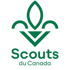 Réseau social : Images